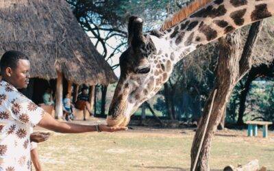 Summer’s Here! Some Outdoor Adventures in South Africa to Explore